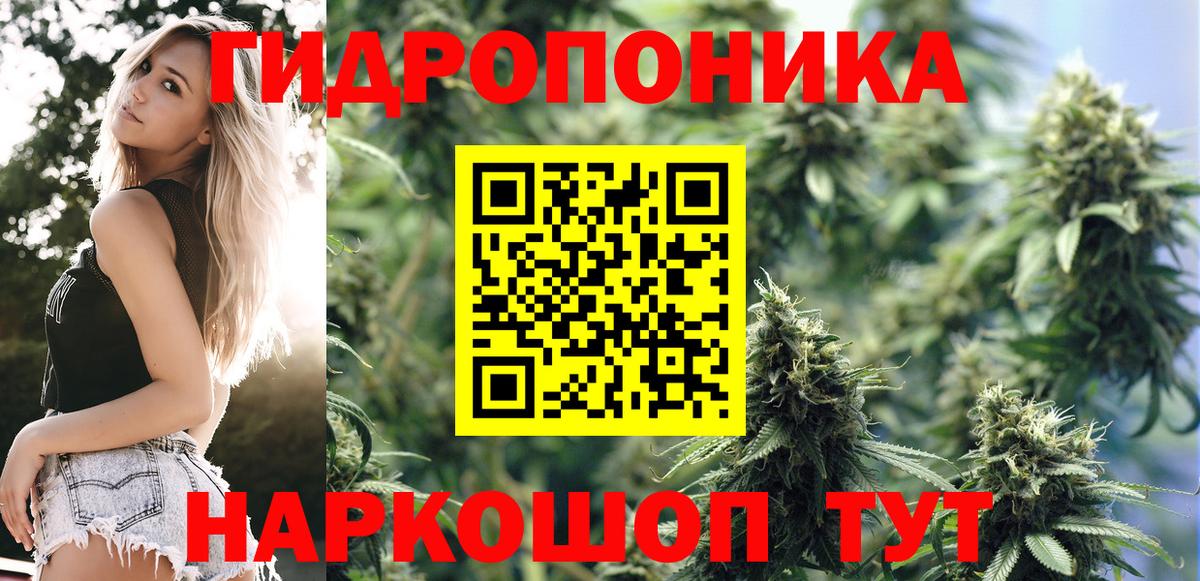 Марихуана Amnesia  Вход с VPN  Бошки марихуана THC 21%  Семёнов 
